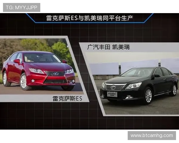 皇冠有限公司：企业背景、核心业务及市场竞争优势解析